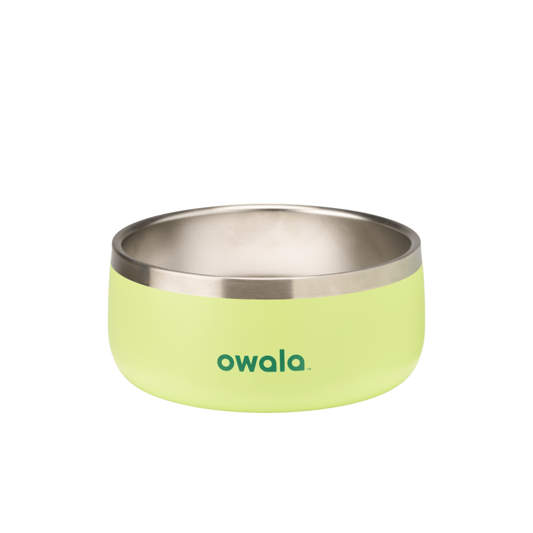 Pet Bowl - Second Set 39 rv6kw f26d8 44bfe