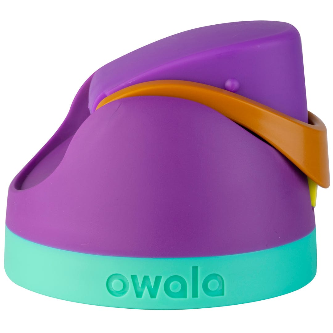 Replacement Lids - Second Set 42 5566b z56wc vskxe
