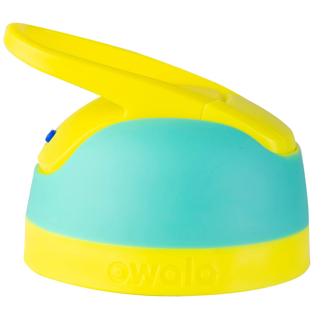 Replacement Lids - Second Set 42 5566b z56wc scqxm sym7p