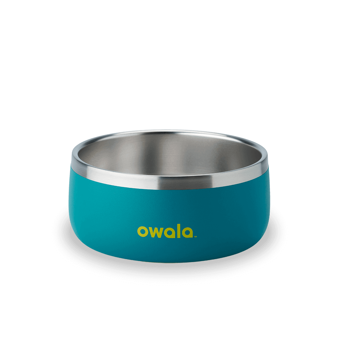 Pet Bowl - Second Set 39 rv6kw f26d8 44bfe